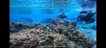 青の洞窟専門店　沖縄ダイビングショップ和に投稿された画像（2021/3/23）