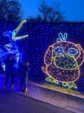 さがみ湖MORI MORIに投稿された画像（2021/3/24）