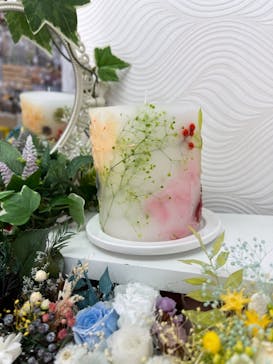 ずこうしつ〜sugamo〜に投稿された画像（2021/3/24）