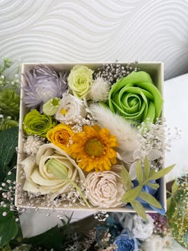 ずこうしつ〜sugamo〜に投稿された画像（2021/3/24）