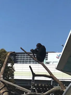 天王寺動物園に投稿された画像（2021/3/24）