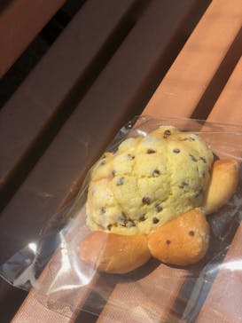 株式会社Gに投稿された画像（2021/3/24）