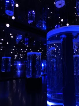 マクセル アクアパーク品川に投稿された画像（2021/3/24）