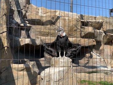 東武動物公園に投稿された画像（2021/3/24）