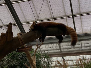 神戸どうぶつ王国に投稿された画像（2021/3/24）