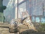 天王寺動物園に投稿された画像（2021/3/24）