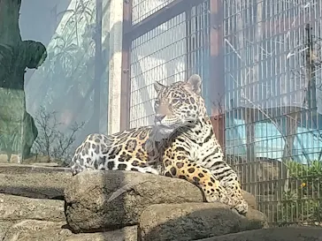 天王寺動物園に投稿された画像（2021/3/24）