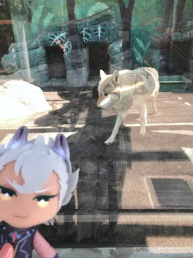 天王寺動物園に投稿された画像（2021/3/24）