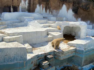 天王寺動物園に投稿された画像（2021/3/24）