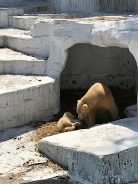 天王寺動物園に投稿された画像（2021/3/24）
