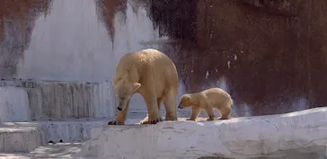 天王寺動物園に投稿された画像（2021/3/24）
