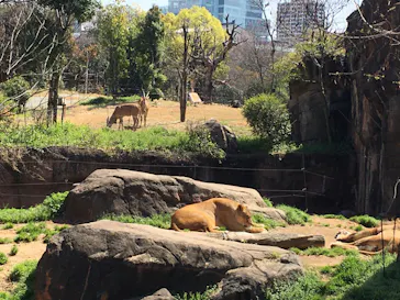 天王寺動物園に投稿された画像（2021/3/24）