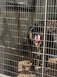天王寺動物園に投稿された画像（2021/3/24）