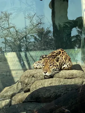 天王寺動物園に投稿された画像（2021/3/24）