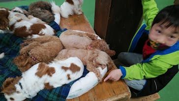 神戸どうぶつ王国に投稿された画像（2021/3/24）