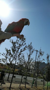 神戸どうぶつ王国に投稿された画像（2021/3/24）