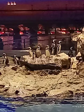 すみだ水族館に投稿された画像（2021/3/24）