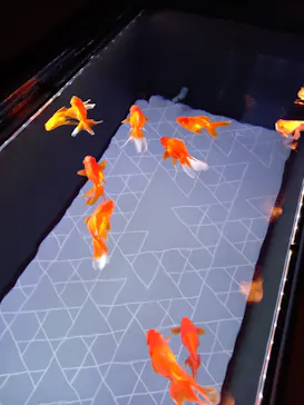 すみだ水族館に投稿された画像（2021/3/24）