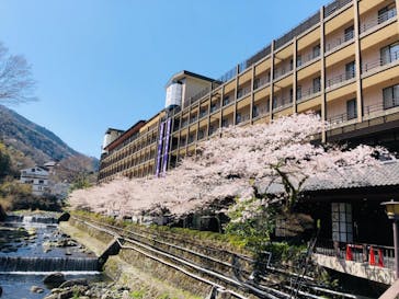 箱根湯本温泉 天成園に投稿された画像（2021/3/24）