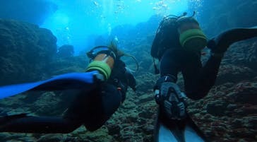 青の洞窟専門店　沖縄ダイビングショップ和に投稿された画像（2021/3/24）