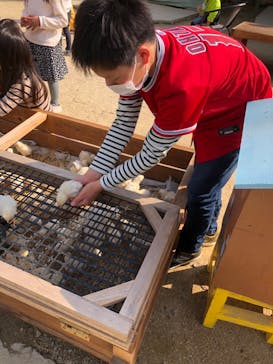 しろとり動物園に投稿された画像（2021/3/24）