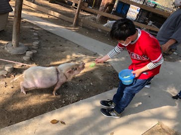 しろとり動物園に投稿された画像（2021/3/24）