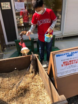 しろとり動物園に投稿された画像（2021/3/24）