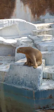 天王寺動物園に投稿された画像（2021/3/24）