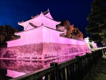 二条城×ネイキッド 二条城夏まつり2021に投稿された画像（2021/3/24）