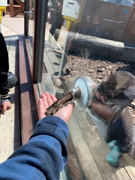 横浜・八景島シーパラダイスに投稿された画像（2021/3/24）