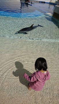大分マリーンパレス水族館 「うみたまご」に投稿された画像（2021/3/25）