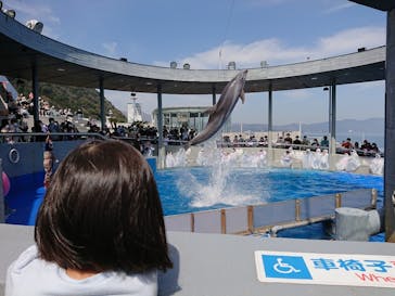 大分マリーンパレス水族館 「うみたまご」に投稿された画像（2021/3/25）