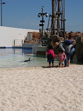 大分マリーンパレス水族館 「うみたまご」に投稿された画像（2021/3/25）