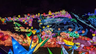 伊豆ぐらんぱる公園に投稿された画像（2021/3/25）