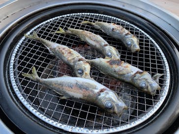 横浜・八景島シーパラダイスに投稿された画像（2021/3/25）