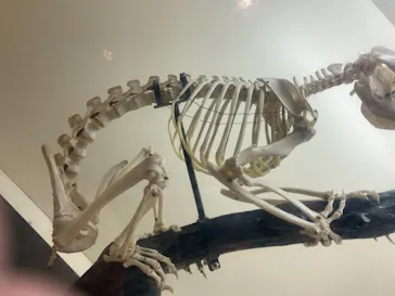 天王寺動物園に投稿された画像（2021/3/25）