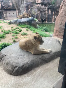 天王寺動物園に投稿された画像（2021/3/25）