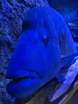 すみだ水族館に投稿された画像（2021/3/25）