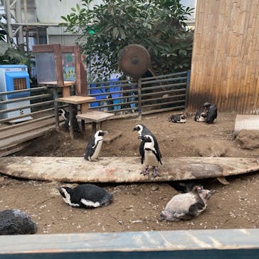 ゼロ距離水族館 伊勢シーパラダイスに投稿された画像（2021/3/25）