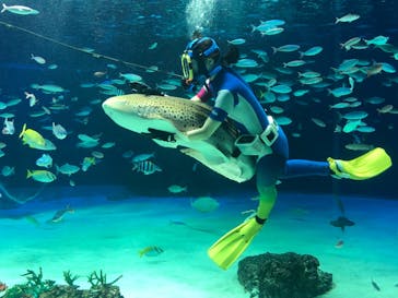 サンシャイン水族館に投稿された画像（2021/3/25）