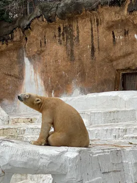 天王寺動物園に投稿された画像（2021/3/25）