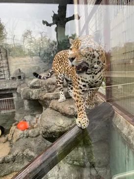 天王寺動物園に投稿された画像（2021/3/25）