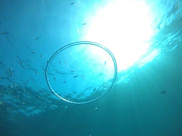 武藤潜水に投稿された画像（2021/3/25）