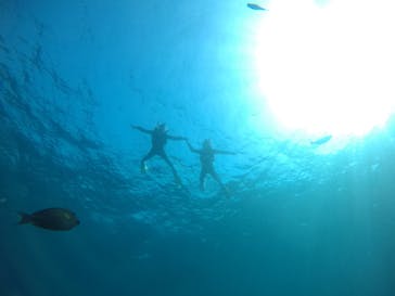 武藤潜水に投稿された画像（2021/3/25）