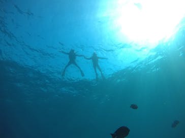 武藤潜水に投稿された画像（2021/3/25）