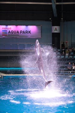 マクセル アクアパーク品川に投稿された画像（2021/3/25）