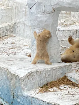 天王寺動物園に投稿された画像（2021/3/25）