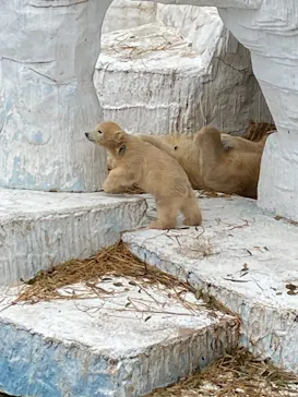 天王寺動物園に投稿された画像（2021/3/25）