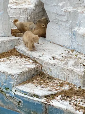 天王寺動物園に投稿された画像（2021/3/25）