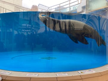 サンシャイン水族館に投稿された画像（2021/3/25）